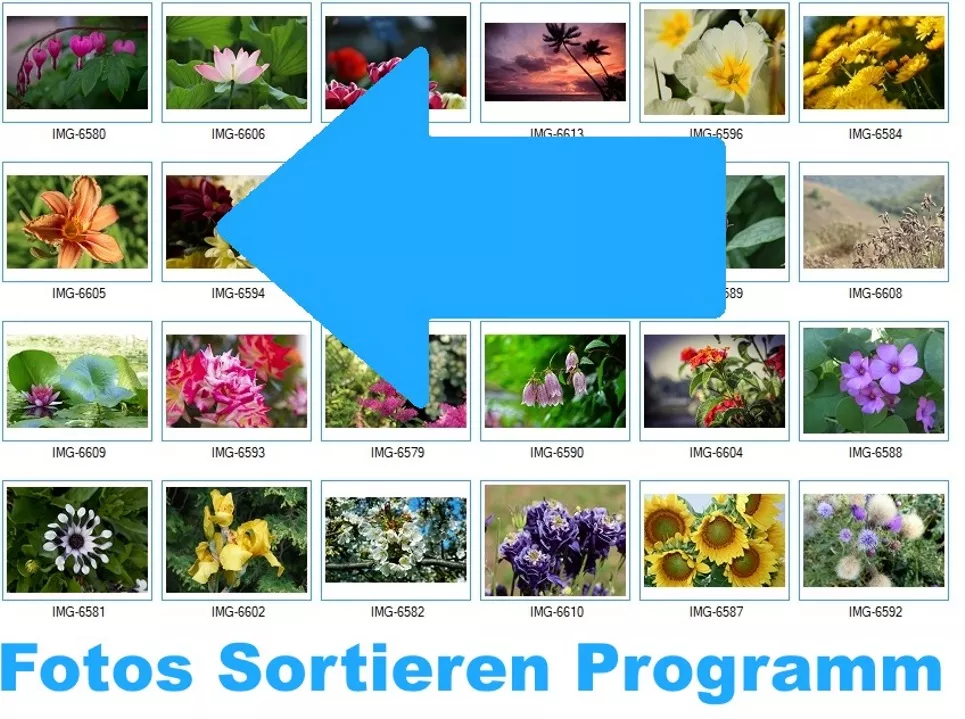 Fotos Sortieren Programm